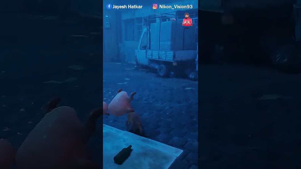 Stray Cat Try To Escape And Survive I stray I jsh gaming