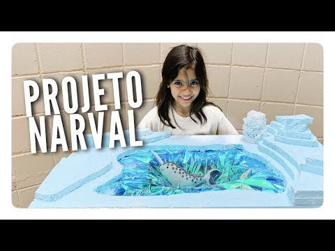 Narval: Fazendo maquete para o Projeto Individual do 2º ano (Bru) | Ana Lu Masi