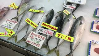 ちたまるある記2015年9月：豊浜魚ひろば