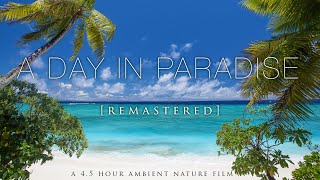 "A Day In Paradise" (No Music) 4.5 Hour Pure Nature Relaxation Film - Fiji HD [Remastered 4K]