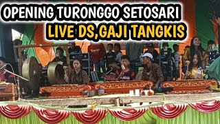 OPENING TURONGGO SETOSARI LIVE DS,GAJI TURUS❗❗❗