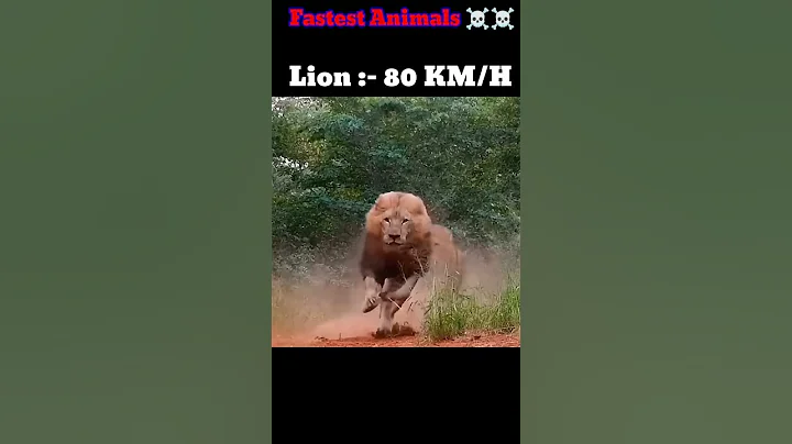 others fastest animals vs last one ☠️ world fastest animal 🐆 #fastestanimalafrica #cheetah #shorts
