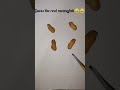 Guess the real peanut   realastic drawing creativeartist satisfying creative 