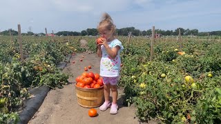 U-Pick Farm I Goebbert's