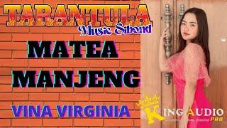 VINA VIRGINIA - MATEA MANJENG | Live Tarantula Music Sibond