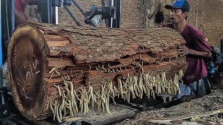 The power of traditional workers splitting giant pieces of rain tree, Dangerous Scene!!