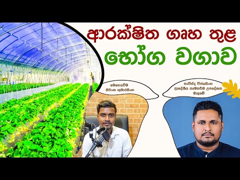 ඔබේ වගාව කෘමි සතුන්ගෙන් ලෙඩ රෝග වලින් ආරක්ෂා කරන ආරක්ෂිත ගෘහ තුළ භෝග වගාව | Protected Agriculture