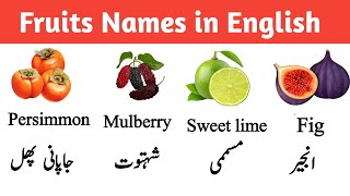 Details English to Urdu Fruits Names | Learn Fruits Vocabulary in English and Urdu | Easy Learning News