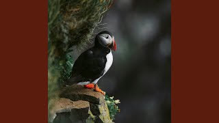 Grace Your Farts Are Too Loud Grace Poop