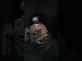 СПАСИБО ОТ МЕДВЕДЯ И ПРАВДА О ВРАГЕ  #фронт