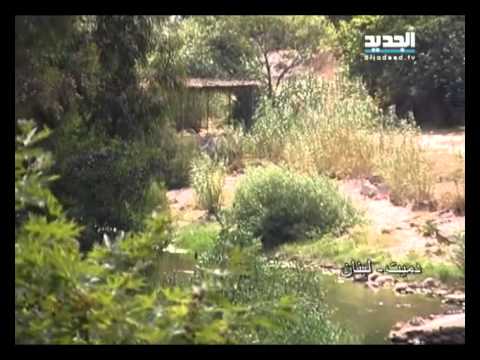 صورة ونغمة دميت الشوف