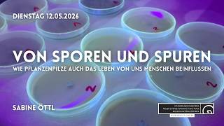 Von Sporen und Spuren – Wie Pflanzenpilze auch das Leben von uns Menschen beeinflussen