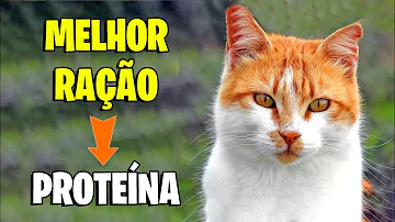 Qual a diferença entre peste negra e peste Bubonica?