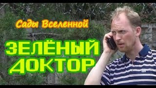 Зелёный доктор