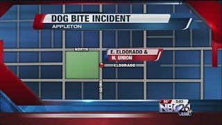 Appleton Dog Bite Incident