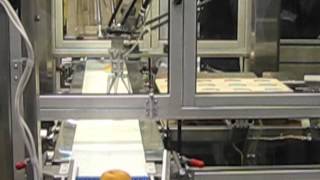 ABB FlexPicker IRB 360 robot