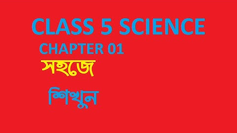 class 5 science chapter 1 ।। pec science chapter 1 ।। class 5 biggan।। ৫ম শ্রেণি  বিজ্ঞান অধ্যায়  ১