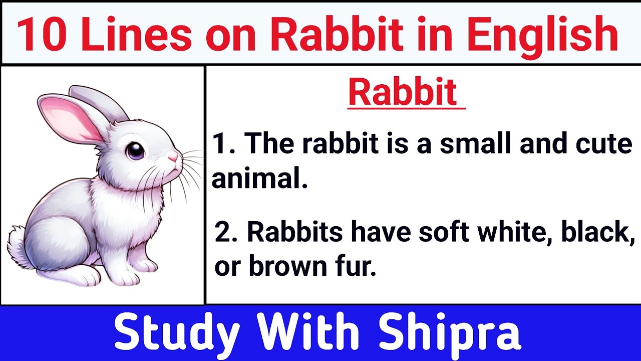 10 Lines Essay on Rabbit in English | Short Essay about Rabbit in English | Rabbit | 🐇🐇