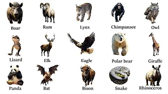 Wild Animals Vocabulary| Name of Wild Animals in English+ Self -Test