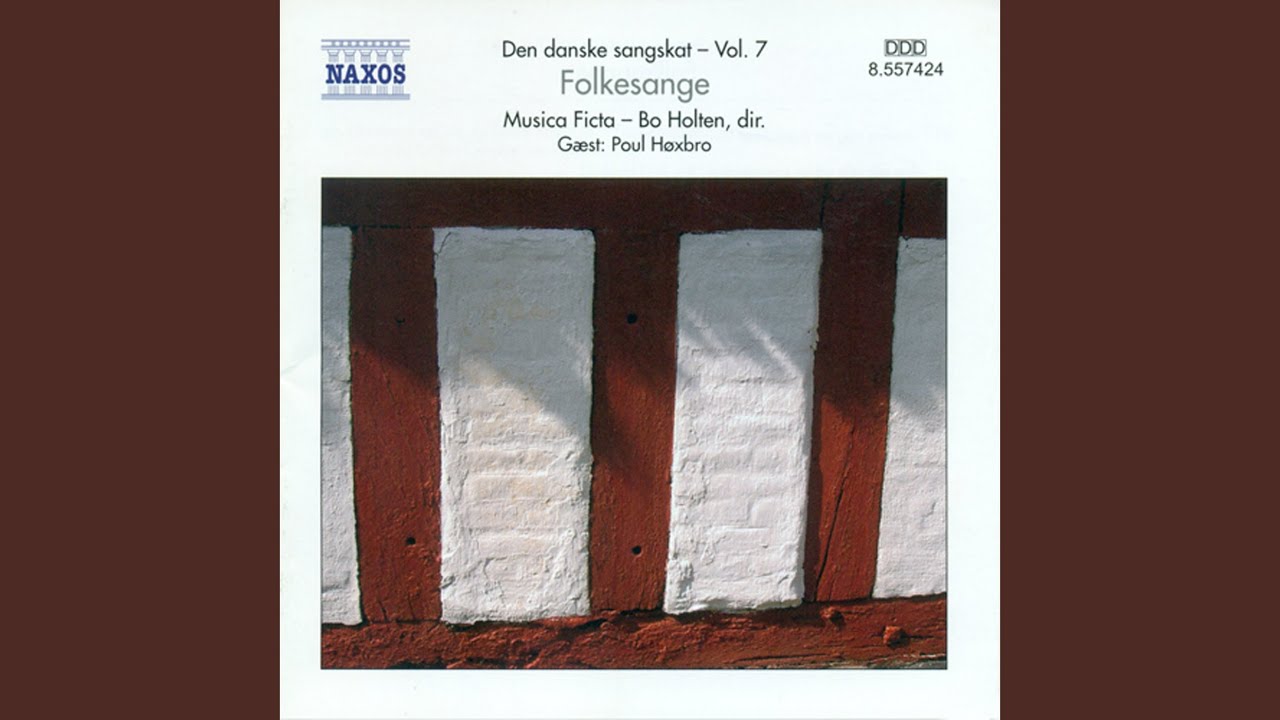 Dromte mig en drom i nat