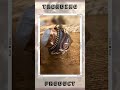 Handcrafted Moonstone Ring Adjustable Natural Gemstone Mixed Metals