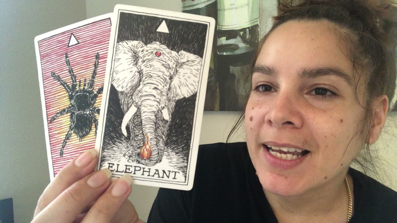 PISCES: A look at your person..