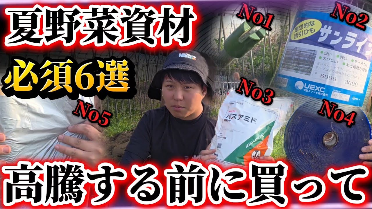 Summer Vegetables] Buy essential supplies quickly!! Prices will