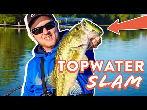 Catching Bass On 5 Different TOPWATER Lures!