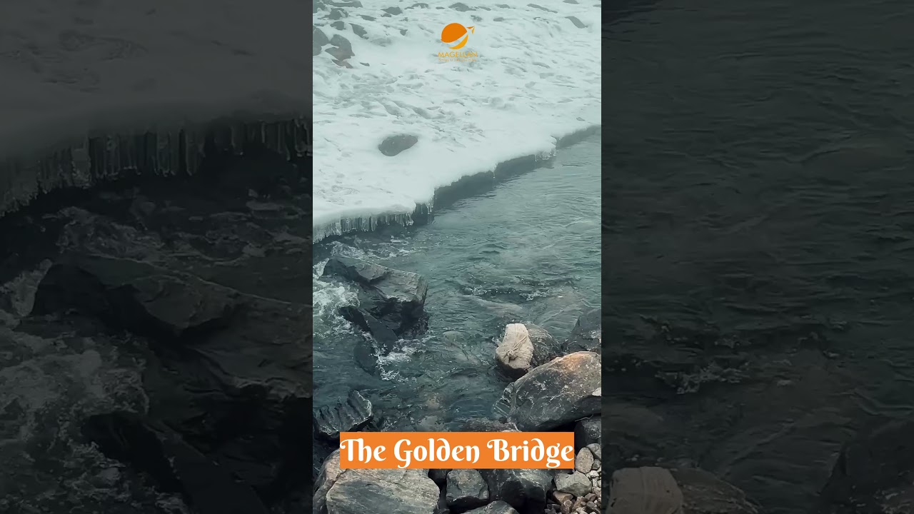 Top Hotels in Lachung: Discover the Best Stays for Your Himalayan Adventure! 🏔️✨ 