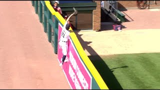 MLB Robbing Home Runs 2019 - Part 1