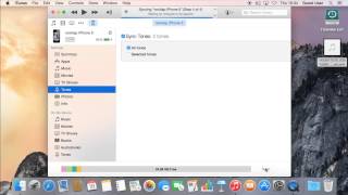 How to install a ringtone on the iPhone (iTheme tutorial) screenshot 2