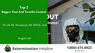 Top 3 Exterminators in Gulfport