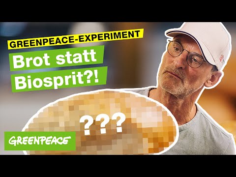 Mit Futterweizen Brot backen – klappt das? | Aktion Rettungsbrote