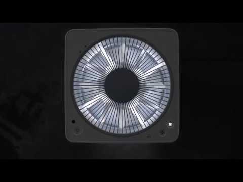 BALMUDA The Pure | 발뮤다 더 퓨어