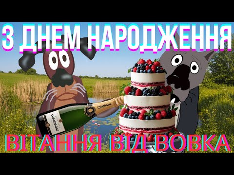 З ДНЕМ НАРОДЖЕННЯ ВОВК ВІТАЄ ПОЛЬКОЮ СМІЙСЯ ТА СВЯТКУЙ