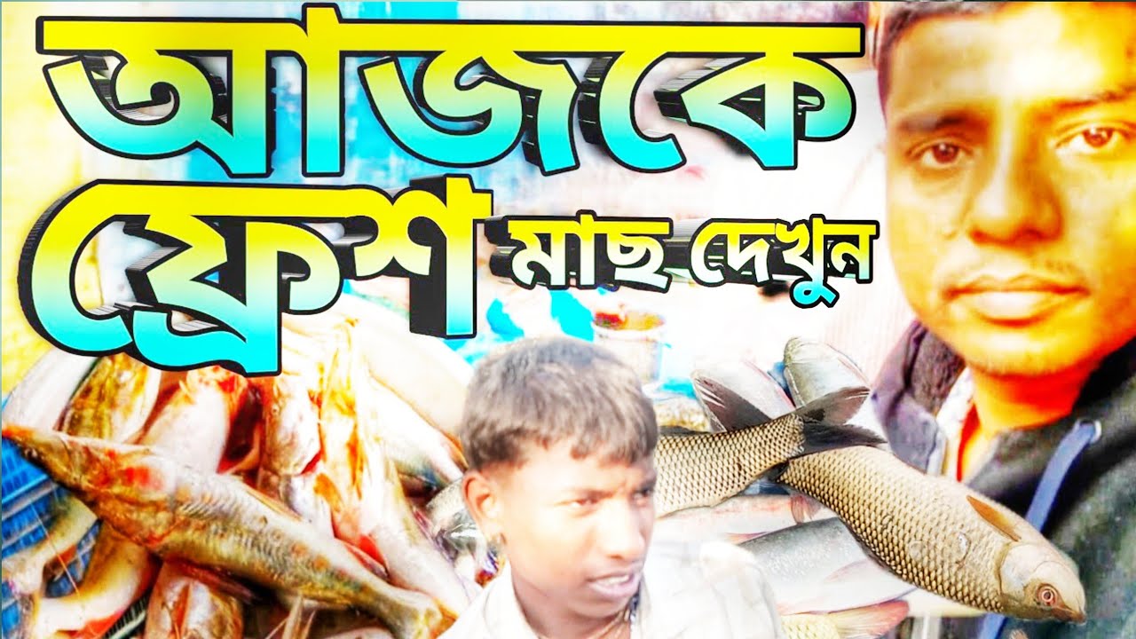 আজকে বাজারে কি কি মাছ আছে? | Today Fish Market Update  | Fresh Fish in Local Market