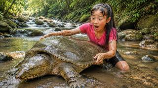 Living Deep in The Forest: Harvesting 1,000 Soft-shell Turtles and Frogs – Selling at The Market screenshot 2