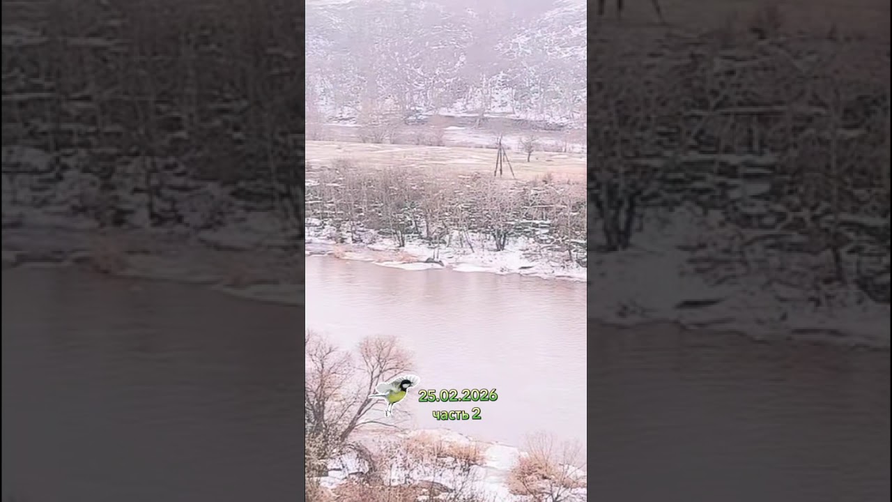 ❄️ Прогулочка ❄️ 25.02.2026 часть 2 ❄️ Запись эфира 