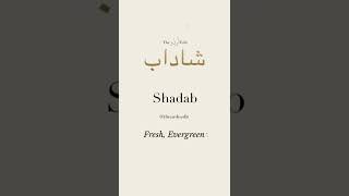 Shadab Urdu Name Meaning Shadab Naam Ka Matlab The Urdu Edit