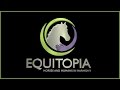 Top 6 Signs Your Saddle May be Hurting Your Horse by Equitopia