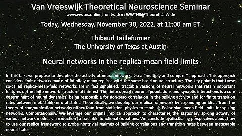 Neural networks in the replica-mean field limits |  Thibaud Taillefumier,   U. of Texas at Austin