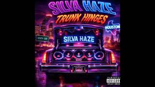 Silva haze- trunk hinges