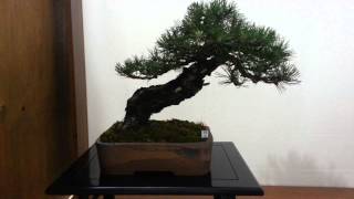 VID_20130518_184328.mp4