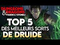 Top 5 des sorts pour druide guide dd