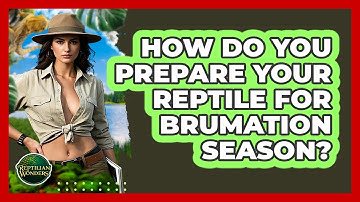 How Do You Prepare Your Reptile For Brumation Season? - Reptilian Wonders