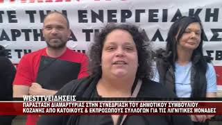 ΠΑΡΑΣΤΑΣΗ ΔΙΑΜΑΡΤΥΡΙΑΣ ΣΤΗΝ ΣΥΝΕΔΡΙΑΣΗ ΤΟΥ ΔΗΜΟΤΙΚΟΥ ΣΥΜΒΟΥΛΙΟΥ ΚΟΖΑΝΗΣ