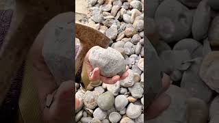 Incredible Rock CRACKED For Fossils! ⚒️🦕 #shorts #beach