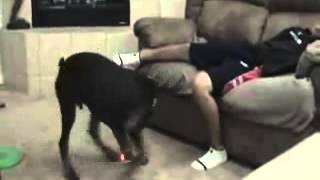 VID 20140221 WA0001