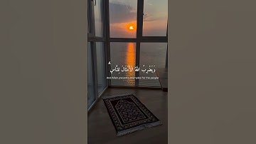 ﴿نُّورٌ عَلَىٰ نُورٖۚ﴾ سورة النور، شريف مصطفى#قران_كريم #ارح_سمعك #ارح_قلبك #المصحف