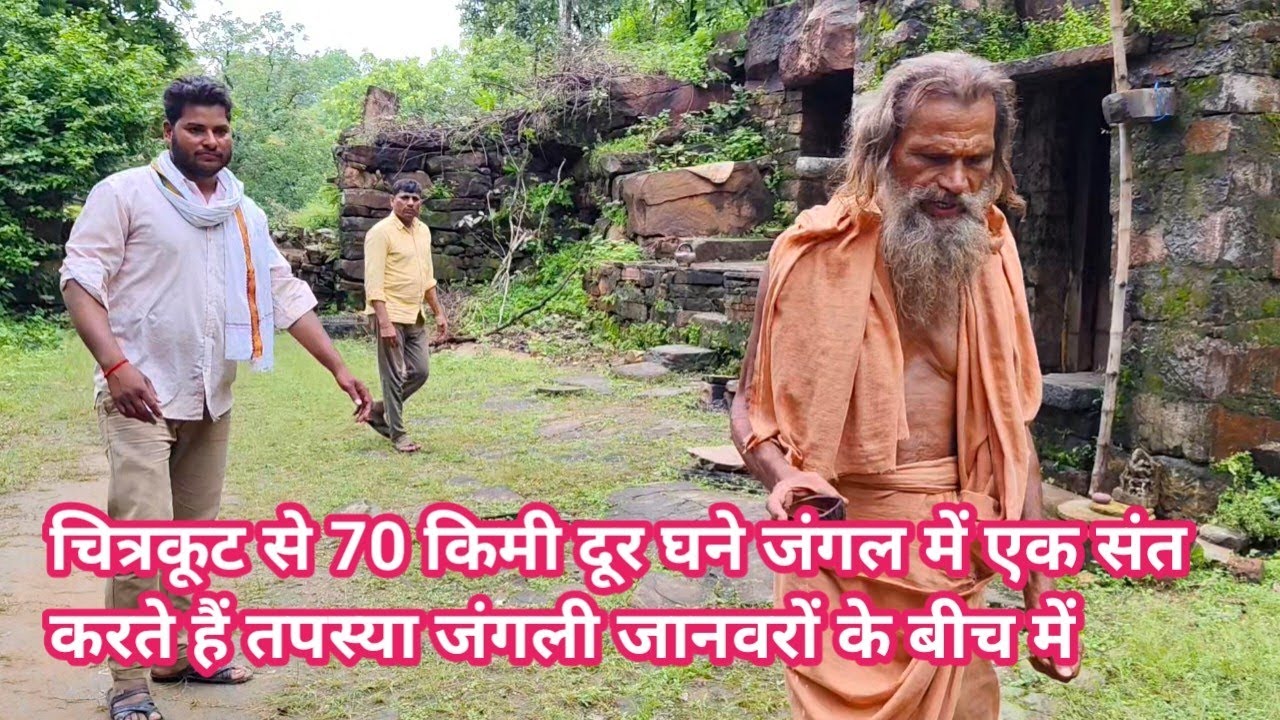 चित्रकूट से 70 किमी दूर घने जंगल में एक संत करते हैं तपस्या जंगली जानवरों के बीच में 